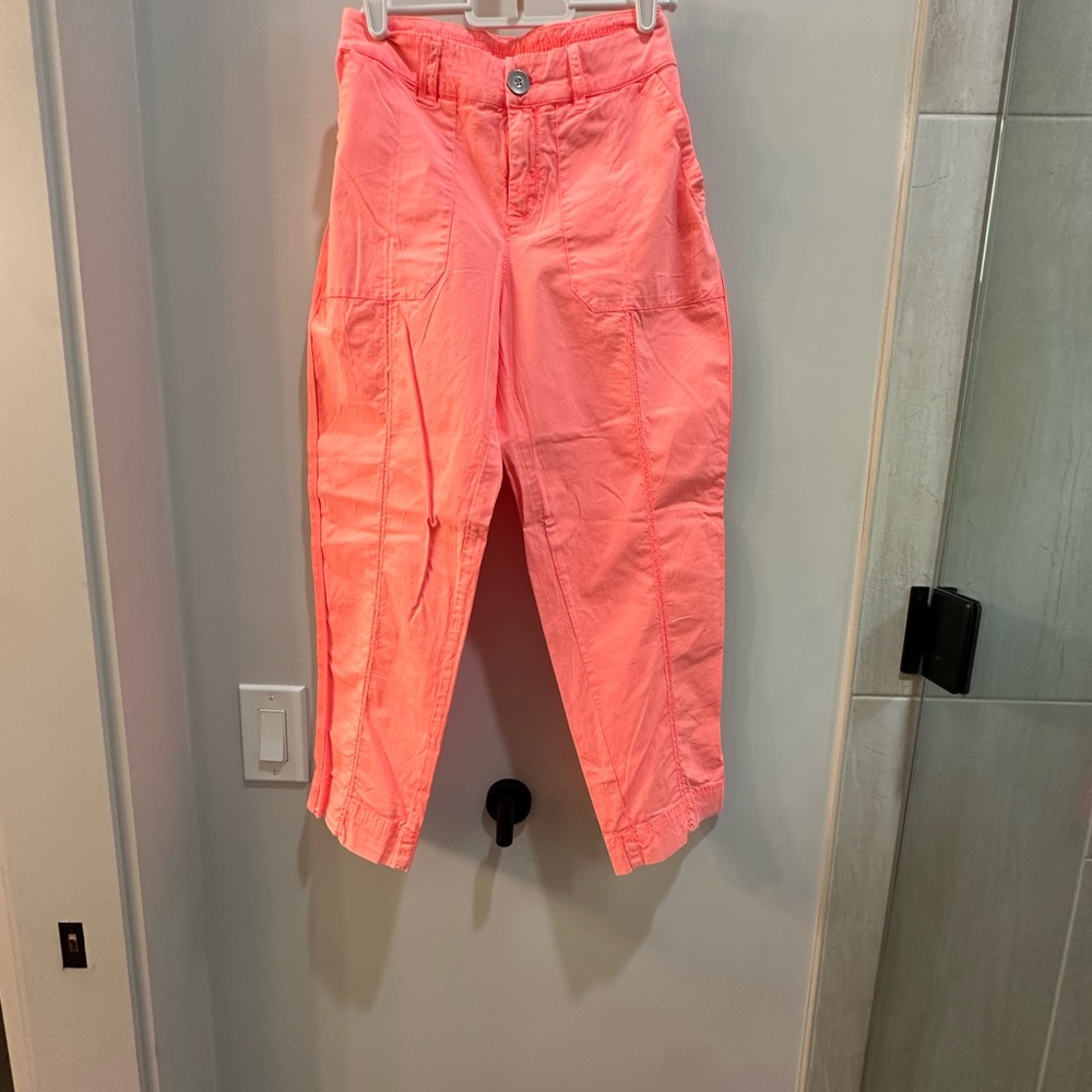 Ambiance Vibrant Pink Shorts